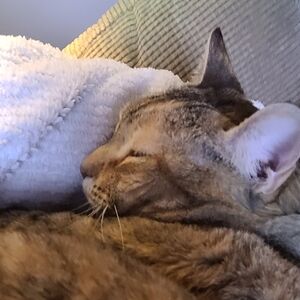 Meet your Posher, Cathy